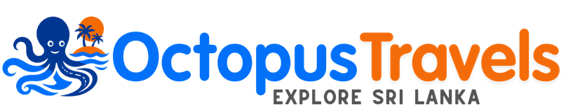 Octopus Travels